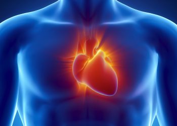 הלב. .אילוסטרציה: depositphotos.com