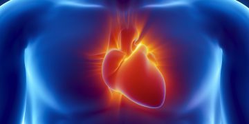 הלב. .אילוסטרציה: depositphotos.com