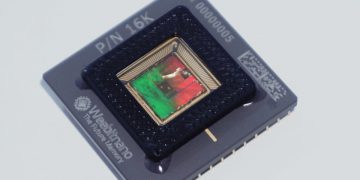 שבב של וויביט. צילום יחצ