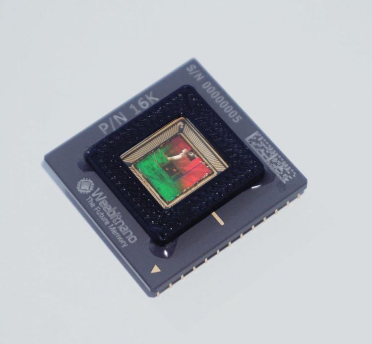 שבב של וויביט. צילום יחצ