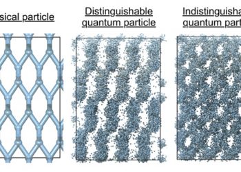 באדיבות אוניברסיטת תל אביב