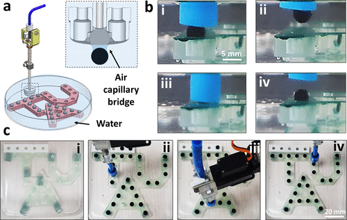רובוט תת מימי. מתוך המחקר