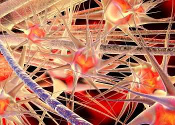 תאי עצב. אילוסטרציה: depositphotos.com