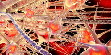 תאי עצב. אילוסטרציה: depositphotos.com