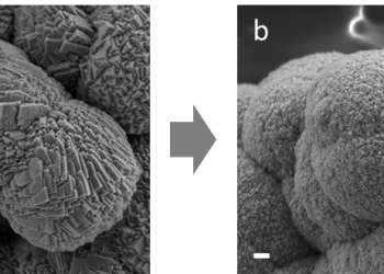 תמונות מיקרוסקופ אלקטרונים סורק של גבישי מנגן-קרובנט, ללא (a) ועם (b) חומצות אמינו המשולבות בתוך הגביש. קנה מידה: 200 ננומטר. צילום: דוברות הטכניון