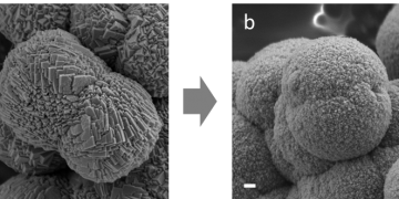 תמונות מיקרוסקופ אלקטרונים סורק של גבישי מנגן-קרובנט, ללא (a) ועם (b) חומצות אמינו המשולבות בתוך הגביש. קנה מידה: 200 ננומטר. צילום: דוברות הטכניון