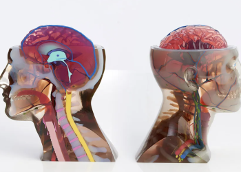 מודלים שהודפסו מדפסות של סטרטסיס. קרדיט סטרטסיס.