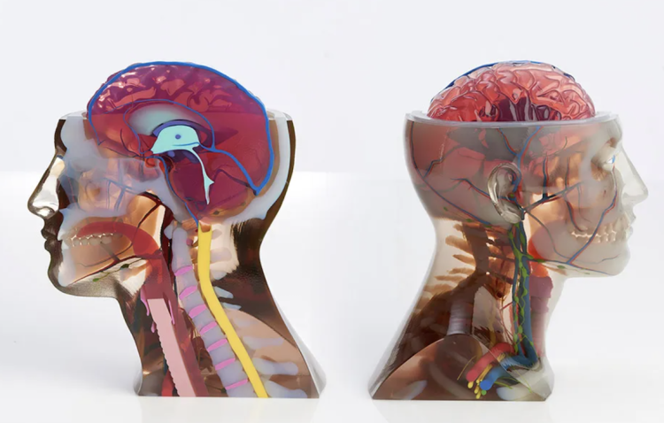 מודלים שהודפסו מדפסות של סטרטסיס. קרדיט סטרטסיס.