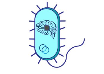 כיצד להפוך תאי חיידק לרשתות נוירונים?