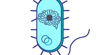 כיצד להפוך תאי חיידק לרשתות נוירונים?