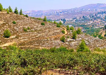 סיור יקבים בדרך האבות