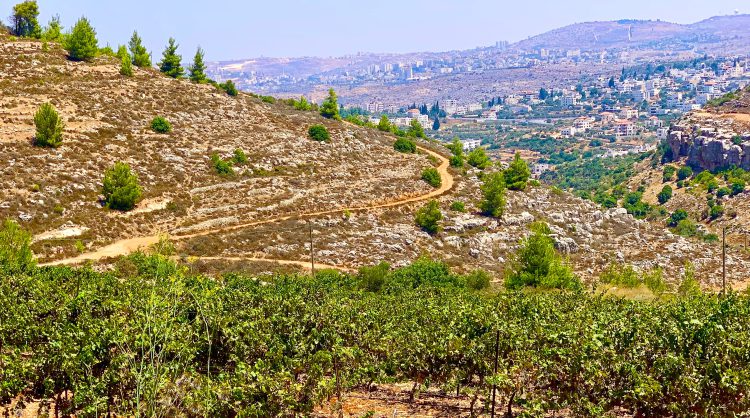 סיור יקבים בדרך האבות