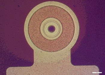 תמונת מיקרוסקופ מוגדלת של VCSEL בודד. (הגודל 0.1 מ"מ)