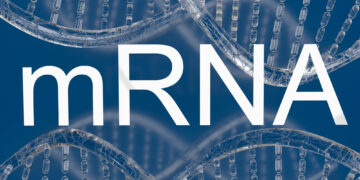 mRNA. אילוסטרציה: depositphotos.com