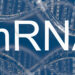 mRNA. אילוסטרציה: depositphotos.com