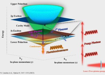 התמונה מציגה דיאגרמת פסי אנרגיה של מיקרו-מהוד מבוסס מוליך-למחצה מסוג GaAs כפי שנחקר בניסוי, שנוצר בו עיבוי קוונטי של קוואזי-חלקיקים מצומדי אור-חומר הקרויים אקסיטון-פולריטונים (Exciton-polaritons) – באמצעות בליעה דו-פוטונית. ההישג סולל את הדרך לסכמות בקרה קוהרנטית חדשות ולמימוש מקור לייזר יעיל בתחום תדרי הטרה-הרץ (THz) של הקרינה האלקטרומגנטית