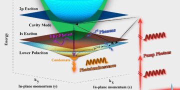 התמונה מציגה דיאגרמת פסי אנרגיה של מיקרו-מהוד מבוסס מוליך-למחצה מסוג GaAs כפי שנחקר בניסוי, שנוצר בו עיבוי קוונטי של קוואזי-חלקיקים מצומדי אור-חומר הקרויים אקסיטון-פולריטונים (Exciton-polaritons) – באמצעות בליעה דו-פוטונית. ההישג סולל את הדרך לסכמות בקרה קוהרנטית חדשות ולמימוש מקור לייזר יעיל בתחום תדרי הטרה-הרץ (THz) של הקרינה האלקטרומגנטית