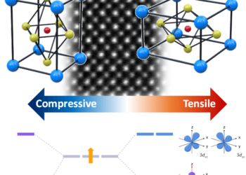 המבנה האטומי של החומר סטרונציום וונדייט (strontium vanadate) – המחשה של המבנה האטומי של החומר תחת מאמצי מתיחה (ימין) ולחיצה (שמאל). במרכז ניתן לראות את הסידור האטומי האמיתי בחומר בתמונת מיקרוסקופ אלקטרונים. בתחתית התמונה ניתן לראות כיצד המאמצים השונים משנים את מבנה רמות האנרגיה בחומר ולכן גם את האופן בו האלקטרונים מסתדרים בו. באמצעות שליטה בתכונות האלה מתכוונים החוקרים להנדס את החומרים הללו לכדי טרנזיסטורים עתידיים. צילום : ניצן זוהר, דוברות הטכניון