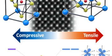 המבנה האטומי של החומר סטרונציום וונדייט (strontium vanadate) – המחשה של המבנה האטומי של החומר תחת מאמצי מתיחה (ימין) ולחיצה (שמאל). במרכז ניתן לראות את הסידור האטומי האמיתי בחומר בתמונת מיקרוסקופ אלקטרונים. בתחתית התמונה ניתן לראות כיצד המאמצים השונים משנים את מבנה רמות האנרגיה בחומר ולכן גם את האופן בו האלקטרונים מסתדרים בו. באמצעות שליטה בתכונות האלה מתכוונים החוקרים להנדס את החומרים הללו לכדי טרנזיסטורים עתידיים. צילום : ניצן זוהר, דוברות הטכניון