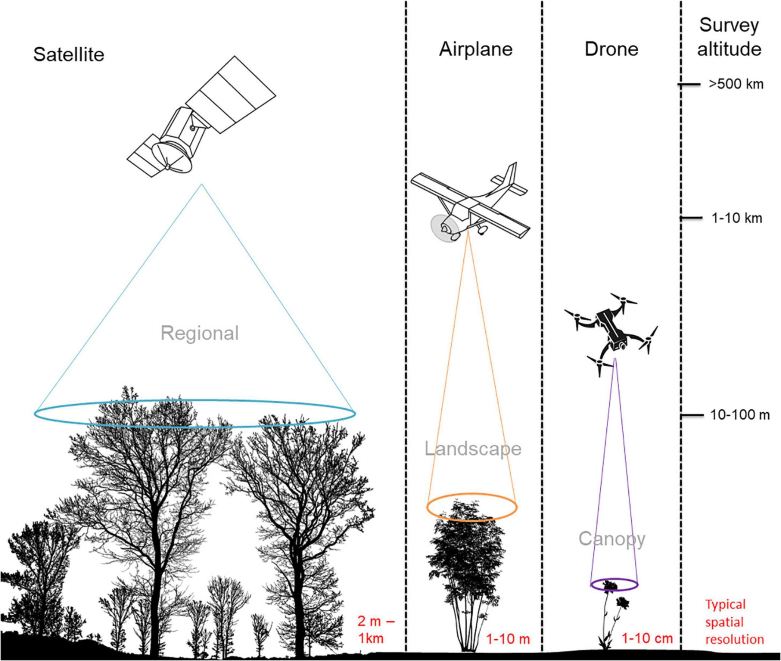 האמצעים לסקירת שטחי חקלאות: לוויינים, מטוסי צילום, רחפנים. מתוך המחקר