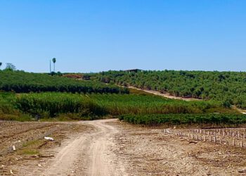 יקב מוני – אין כמוני