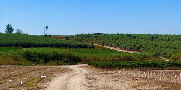 יקב מוני – אין כמוני