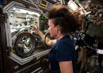 האסטרונאוטית של נאס"א ומהנדסת טיסה במשימת משלחת 65 לתחנת החלל הבינלאומית, מייגן מקארתור, עובדת באמצעות כפפות ייעודיות למיקרו-כבידה על החלפת דגימות בניסוי הנקרא גיבוש באמצעות מחסום באמפולות אטומות, או SUBSA. החקר הפיזיקלי בוחן שיטות ניסיוניות לגיבוש תמיסות במיקרו כבידה וצפוי להוביל להפחתה בתנועת הנוזלים בתמיסה, מה שמוביל להתפלגות טובה יותר של רכיבי משנה ופוטנציאל לשיפור הטכנולוגיה המשמשת בייצור גבישי מוליכים למחצה