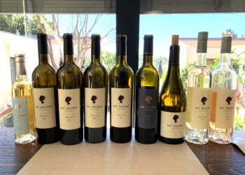 יקב בת שלמה: שילוב בין נוסטלגיה, יין והייטק