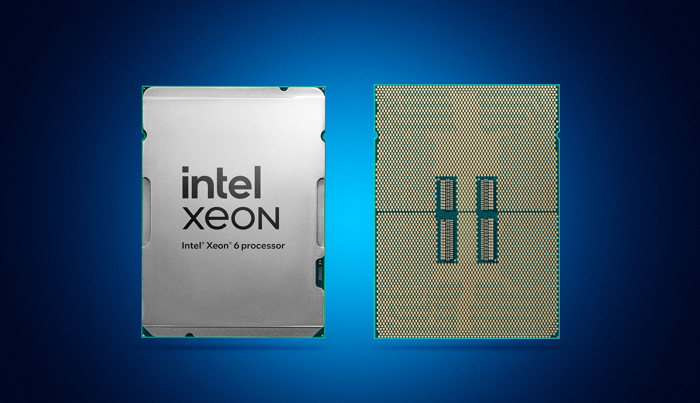 Intel Xeon 6 Efficient Core. צילום יחצ