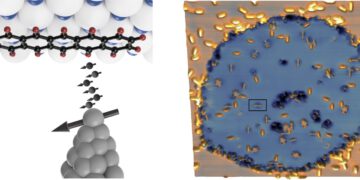 מולקולות פנטסן בודדות (צהוב) על שכבת הבידוד (כחול). מימין: אלקטרונים עם ספינים מקבילים (חצים קטנים) מנהרים מקצה הטונגסטן (למעלה) למולקולה (למטה). קרדיט: ETH ציריך / אשווריה וישווקרמה וסטפן קובאריק