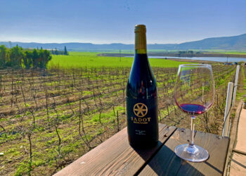 יקב שדות – נוף עוצר נשימה לצד ינות יחודים מזנים ים תיכונים