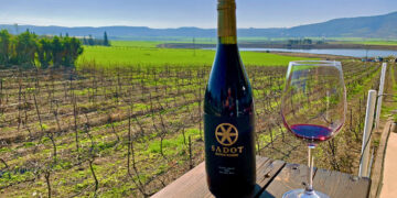 יקב שדות – נוף עוצר נשימה לצד ינות יחודים מזנים ים תיכונים