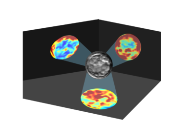 איור המדגים את הפרשנות של DISCOVER. שלוש מפות חום המדגישות את תכונות העובר (במרכז) המשמעותיות ביותר לחיזוי ה-AI של איכות העובר. קרדיט: עודד רותם