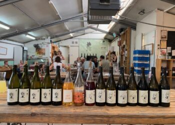 מאובדן להתחדשות: סיפורו של יקב כרם ברק