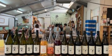 מאובדן להתחדשות: סיפורו של יקב כרם ברק