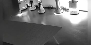 רובוט קטן ממריד רובוטים גדולים לברוח מתערוכה בסין. צילום מסך