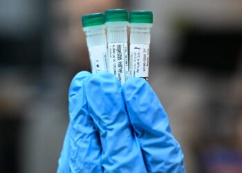 מבחנות ובהן זכרונות מיחשו בDNA. צילום: דוברות הטכניון