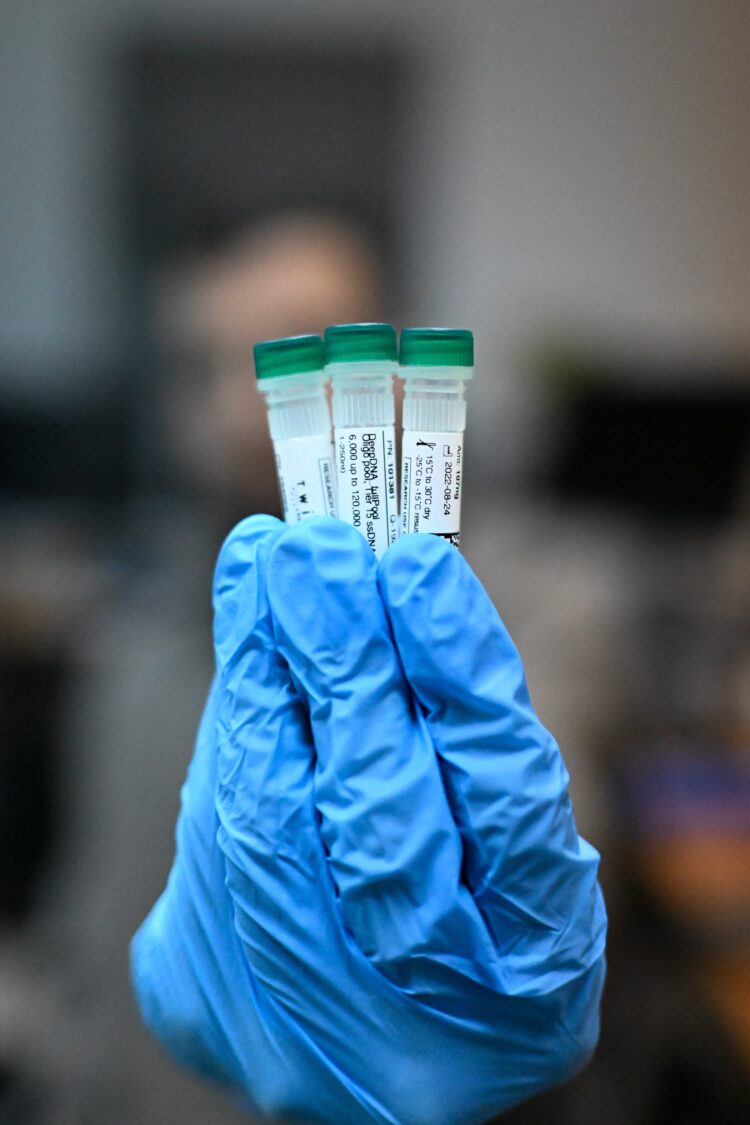 מבחנות ובהן זכרונות מיחשו בDNA. צילום: דוברות הטכניון