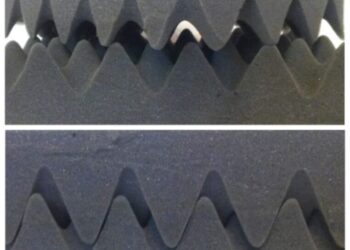 צילום צוות מחקר: אוניברסיטת תל אביב. קרדיט: עדי הוד