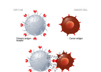 תאי T תוקפים תא סרטני. אילוסטרציה: depositphotos.com