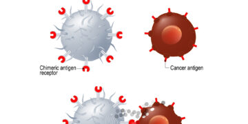 תאי T תוקפים תא סרטני. אילוסטרציה: depositphotos.com