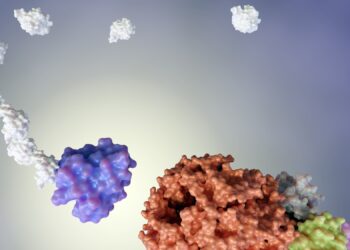 שבבי IC, ייצור שבבים, עיצוב שבבים, אריזת שבבים, בדיקות שבבים, TSMC, ITRI