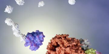 שבבי IC, ייצור שבבים, עיצוב שבבים, אריזת שבבים, בדיקות שבבים, TSMC, ITRI