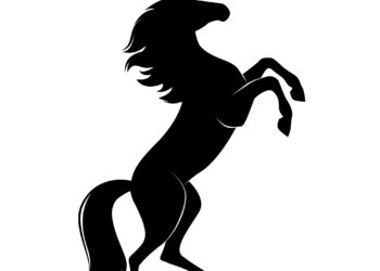 אילוסטרציה: depositphotos.com