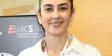 המסע של כוכבית – מהשוק המקומי לצמרת העולמית